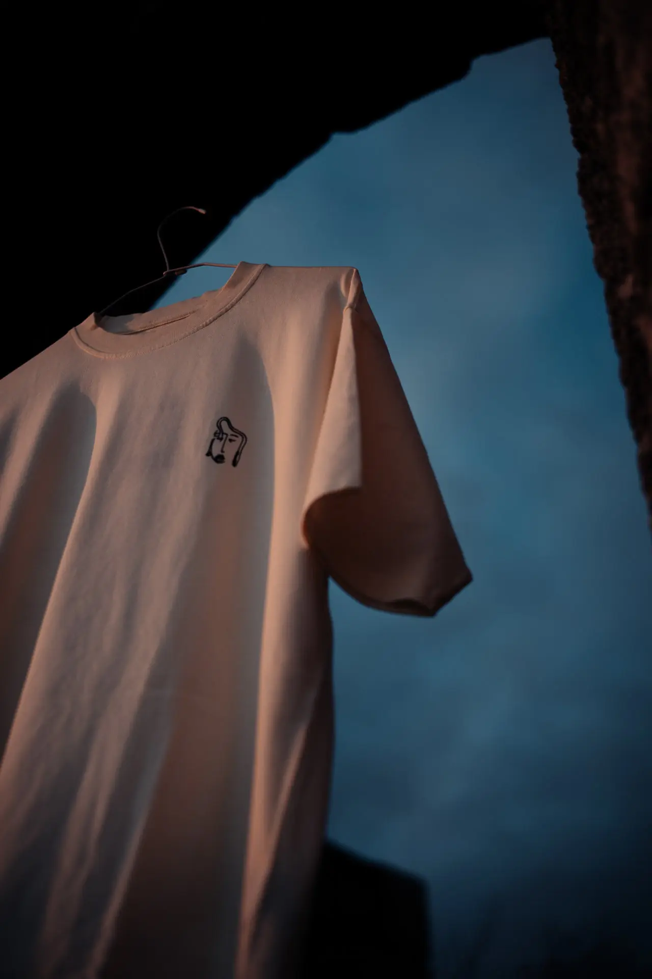 PIÈCES SÉRIGRAPHIÉES — VOIR LA BOUTIQUE